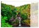 Thumbnail-9