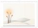 Thumbnail-13