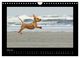 Thumbnail-11