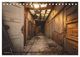 Thumbnail-14