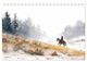 Thumbnail-10