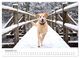 Thumbnail-14