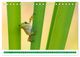 Thumbnail-9