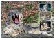 Thumbnail-14