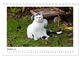 Thumbnail-12