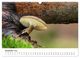 Thumbnail-14