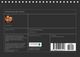Thumbnail-13