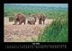 Thumbnail-10