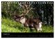 Thumbnail-10