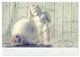 Thumbnail-12