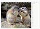 Thumbnail-12