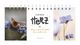 Thumbnail-10