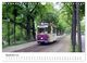 Thumbnail-14