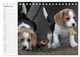 Thumbnail-12
