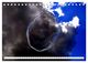 Thumbnail-9