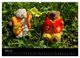 Thumbnail-8