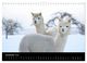 Thumbnail-14
