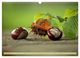 Thumbnail-14