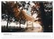 Thumbnail-11
