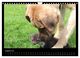 Thumbnail-13