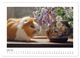 Thumbnail-9