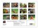 Thumbnail-11