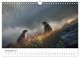 Thumbnail-13