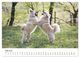 Thumbnail-11