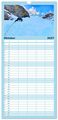 Thumbnail-12