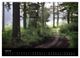 Thumbnail-12