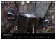 Thumbnail-11