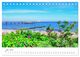 Thumbnail-9