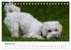 Thumbnail-14