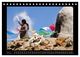 Thumbnail-11