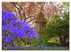 Thumbnail-9