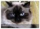 Thumbnail-11