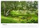 Thumbnail-13