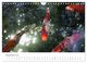 Thumbnail-14