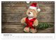 Thumbnail-14