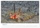 Thumbnail-10