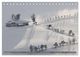 Thumbnail-14