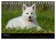 Thumbnail-10