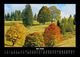 Thumbnail-9