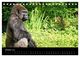 Thumbnail-12
