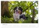 Thumbnail-11