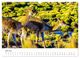 Thumbnail-8