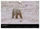 Thumbnail-14