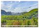 Thumbnail-12