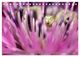 Thumbnail-13