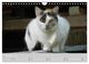 Thumbnail-12